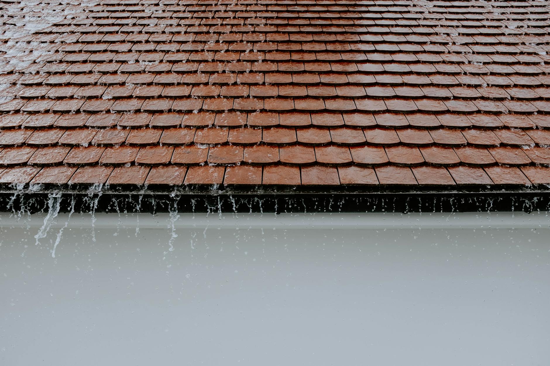 Roofing Company - Roof in the Rain