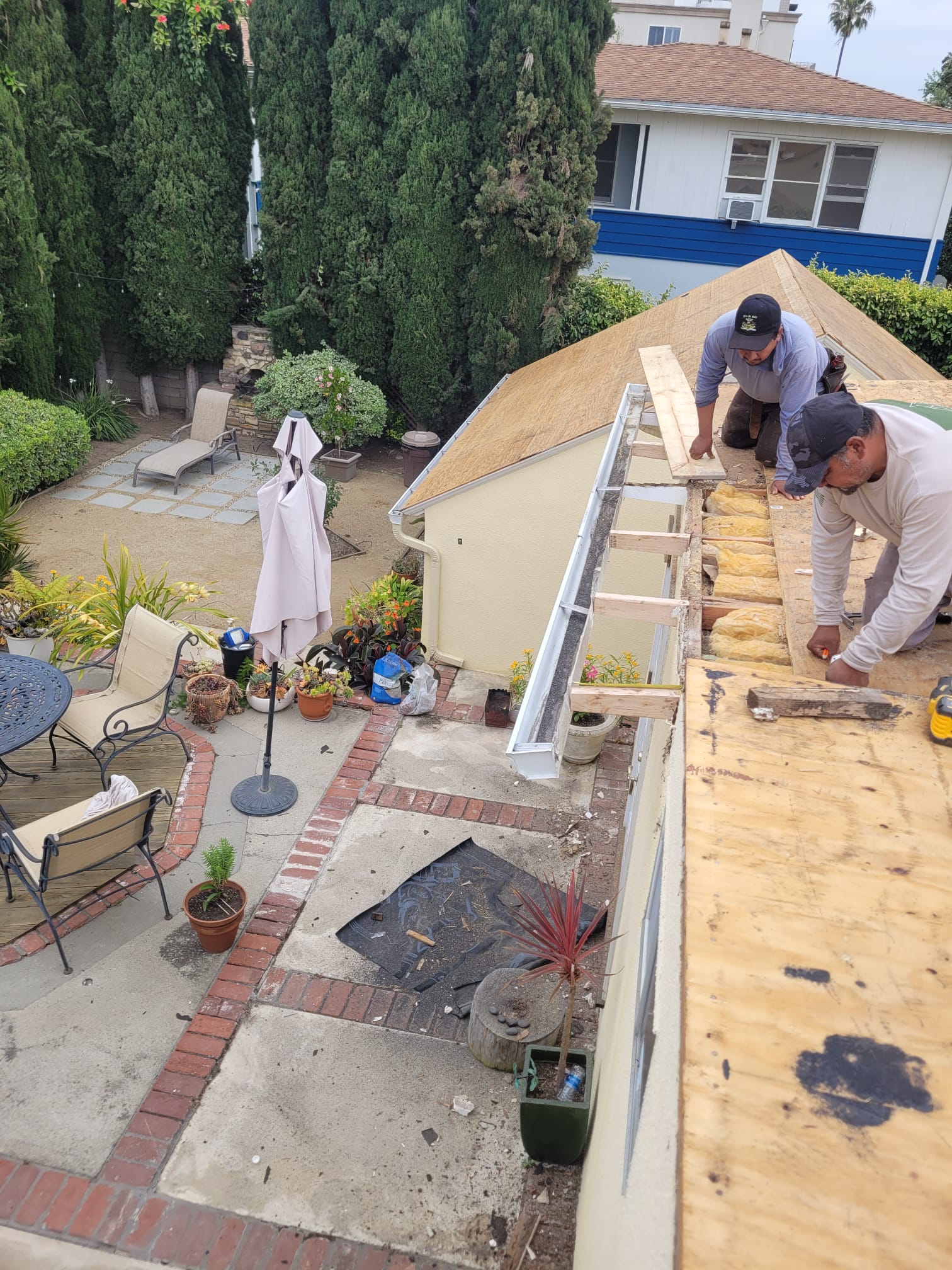 WhatsApp Image 2024-06-11 at 17.00.10 (2)