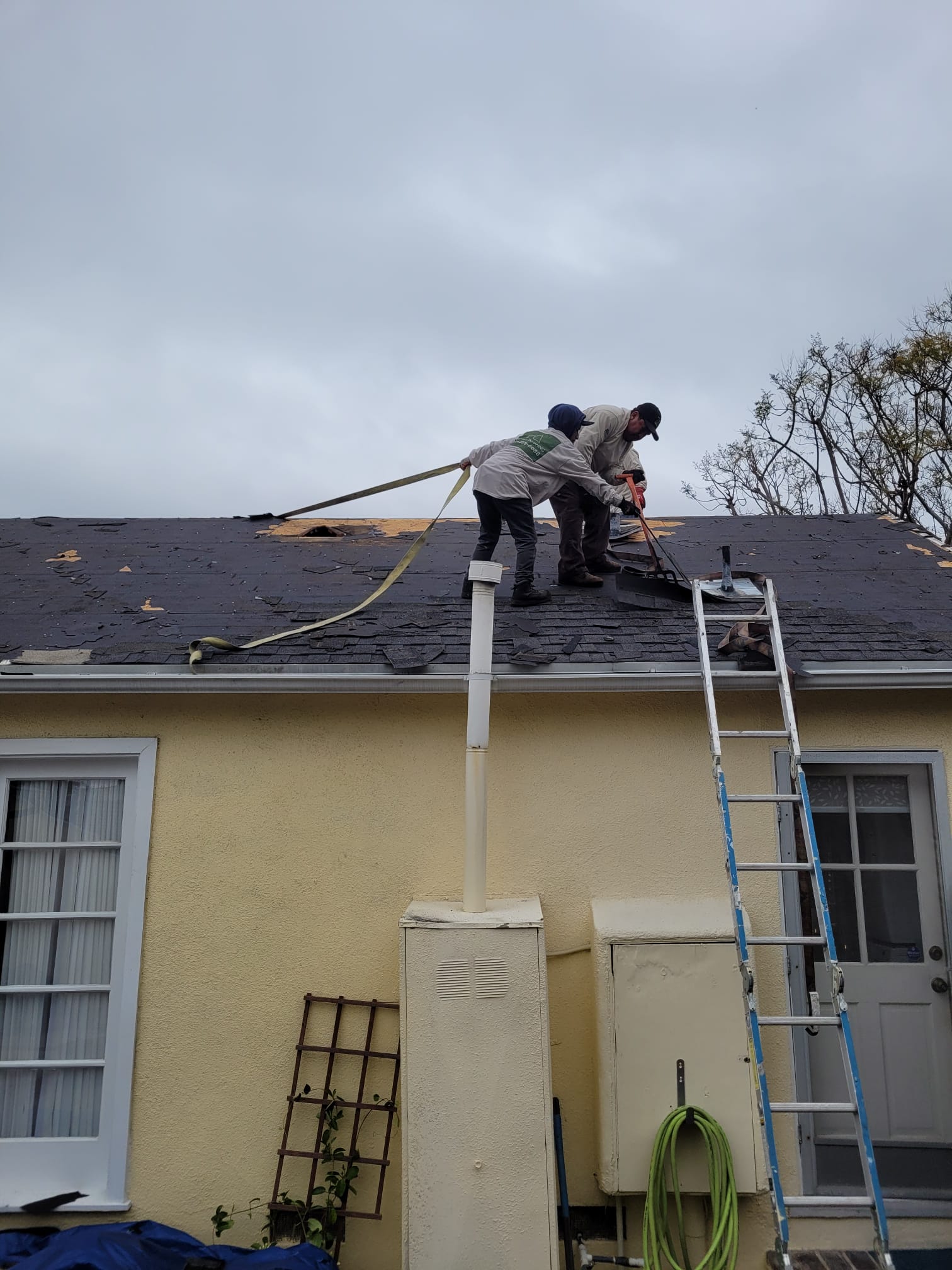 WhatsApp Image 2024-06-11 at 17.00.29 (1)