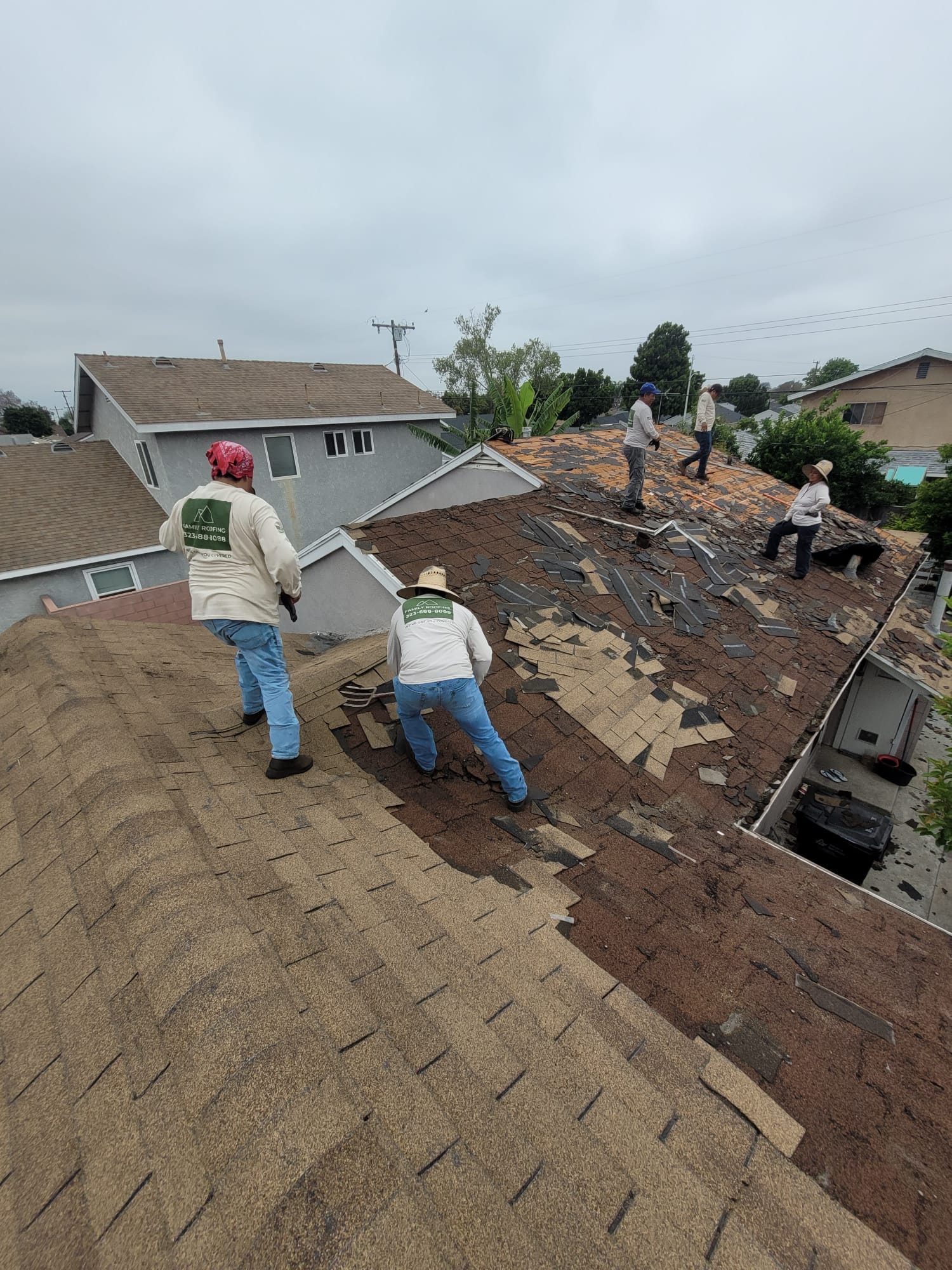 WhatsApp Image 2024-06-11 at 17.00.38